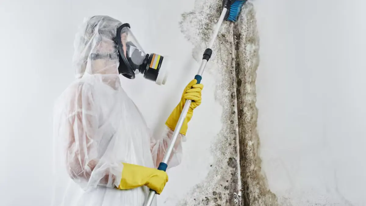 Technician in a respirator and protective suit treating a mold-affected wall