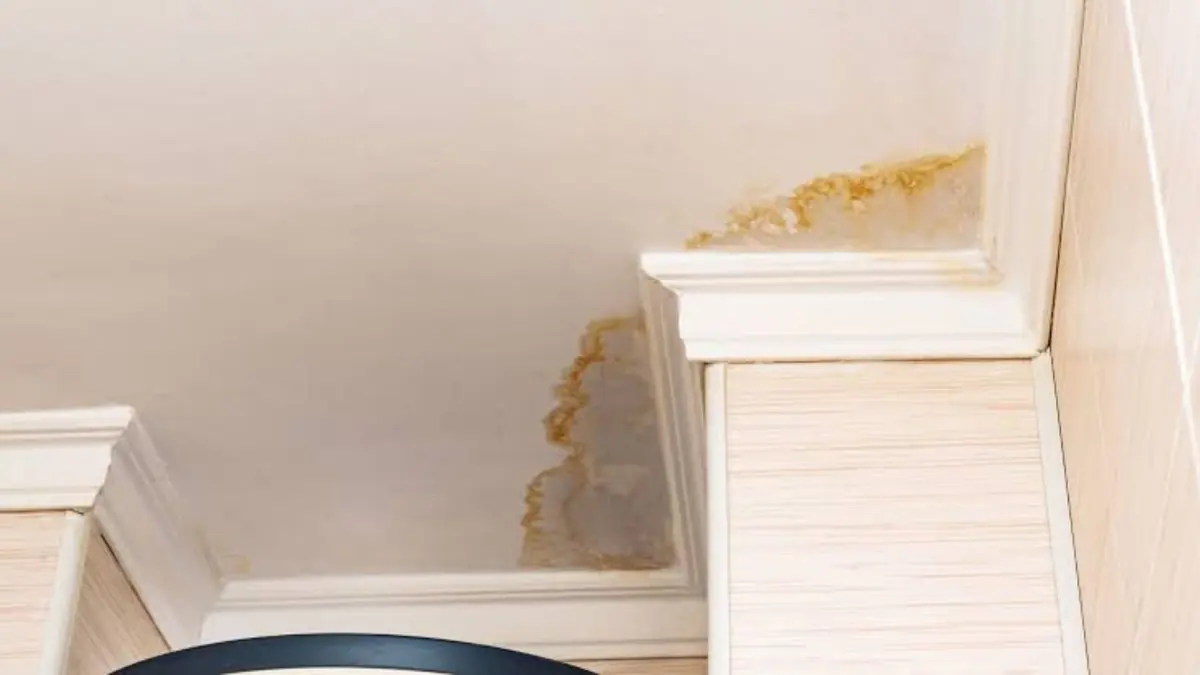 Water stain spreading across a ceiling corner before repair